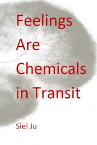 Siel Ju Feelings Are Chemicals in Transit chapbook