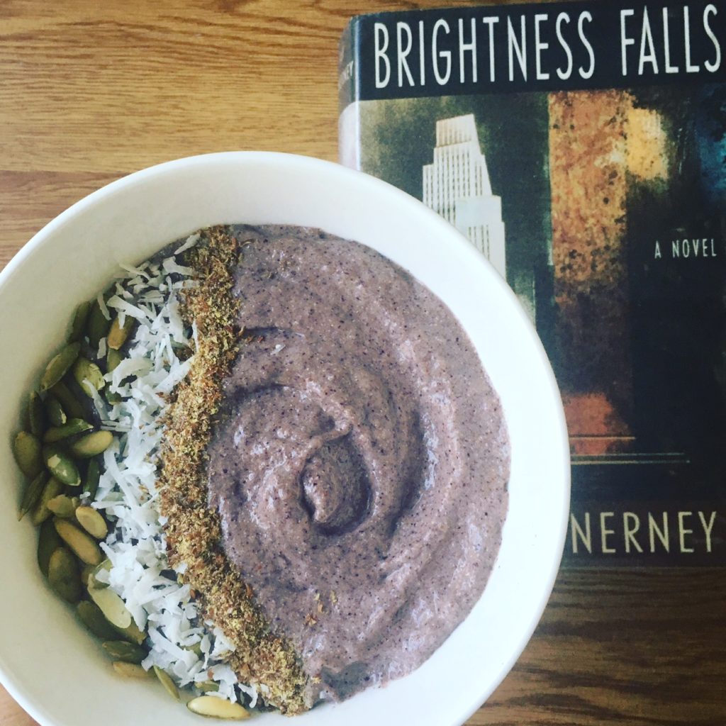 jay-mcinerney-brightness-falls